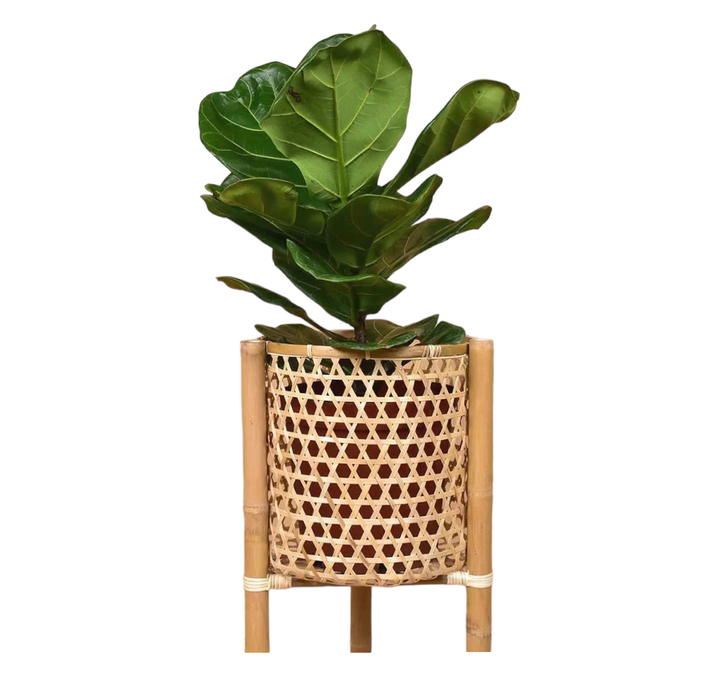 Weaving Bamboo Plant Pot 01