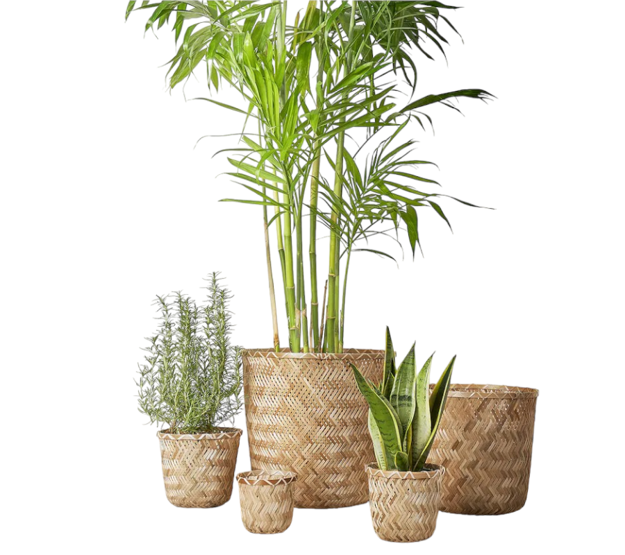 Weaving Bamboo Plant Pot 04