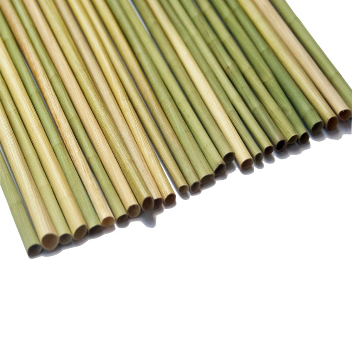 Soft Seagrass Drinking Straw 05