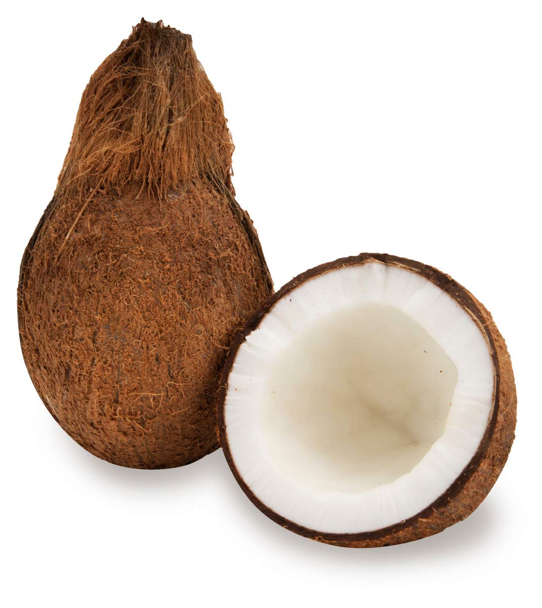 Coconut Fruit 01