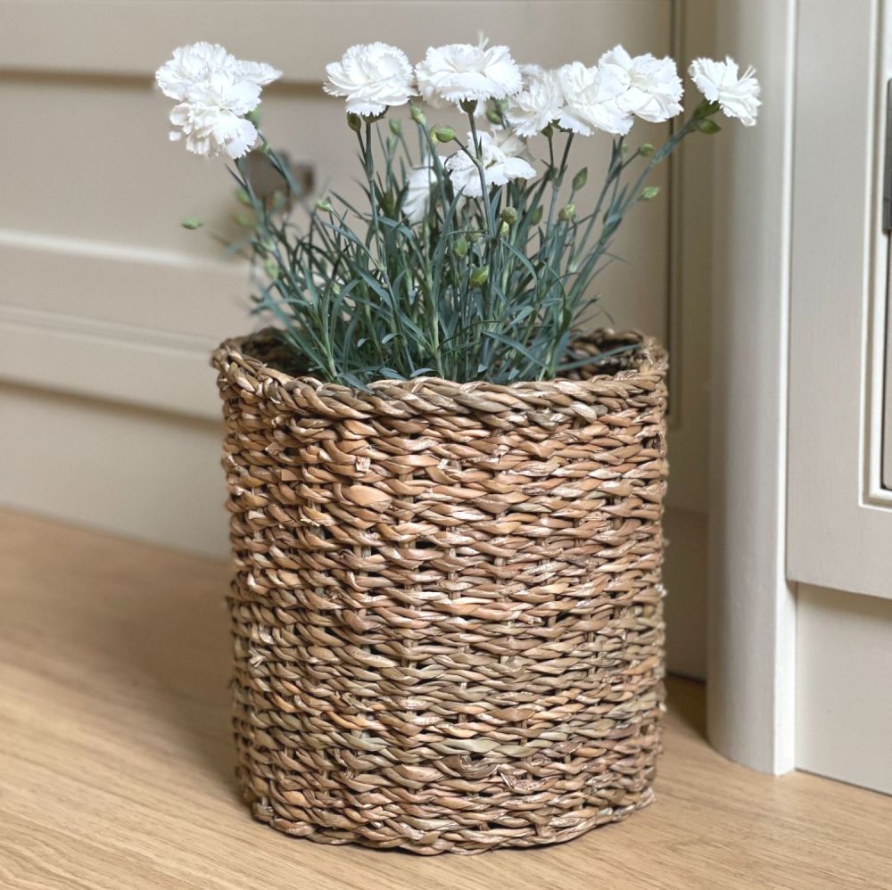 Strong Seagrass Plant Pot 03