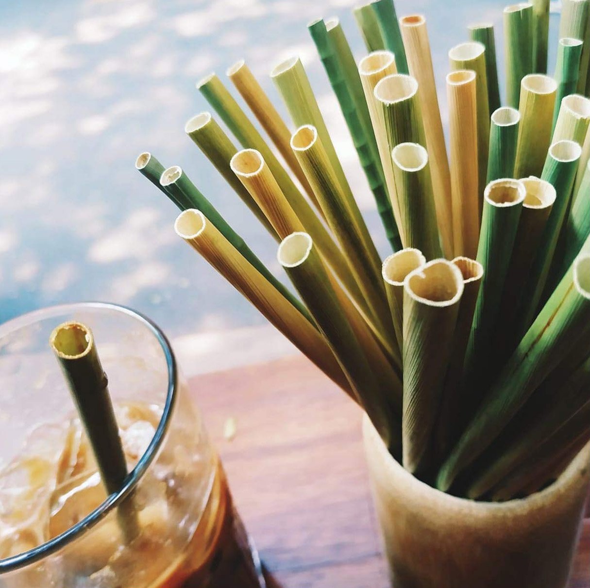 Soft Seagrass Drinking Straw 13