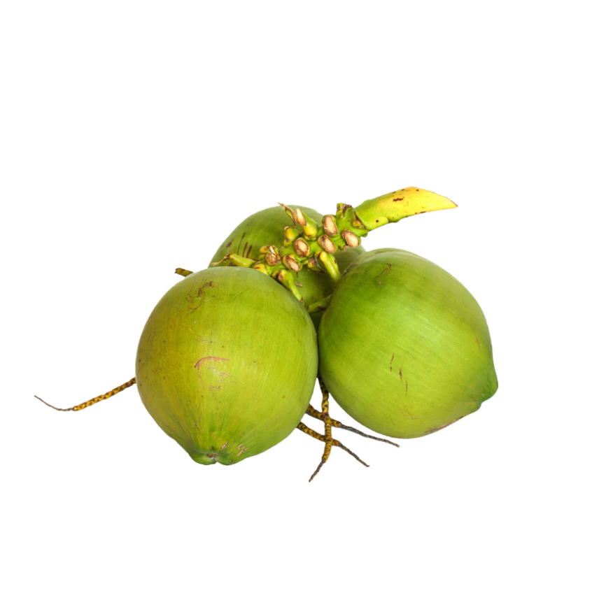 Coconut Fruit 14