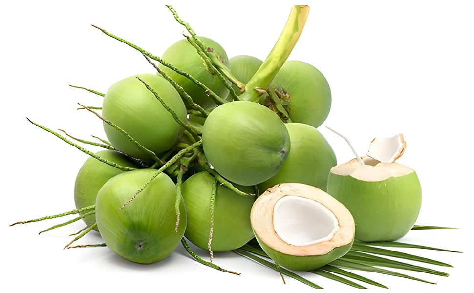 Coconut Fruit 15