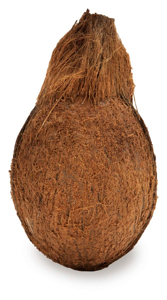 Coconut Fruit 02