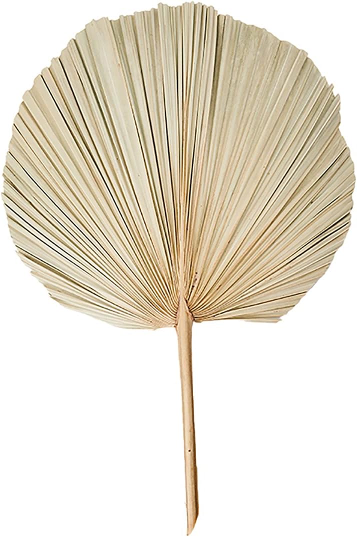 Palm Leaf Handfan 06