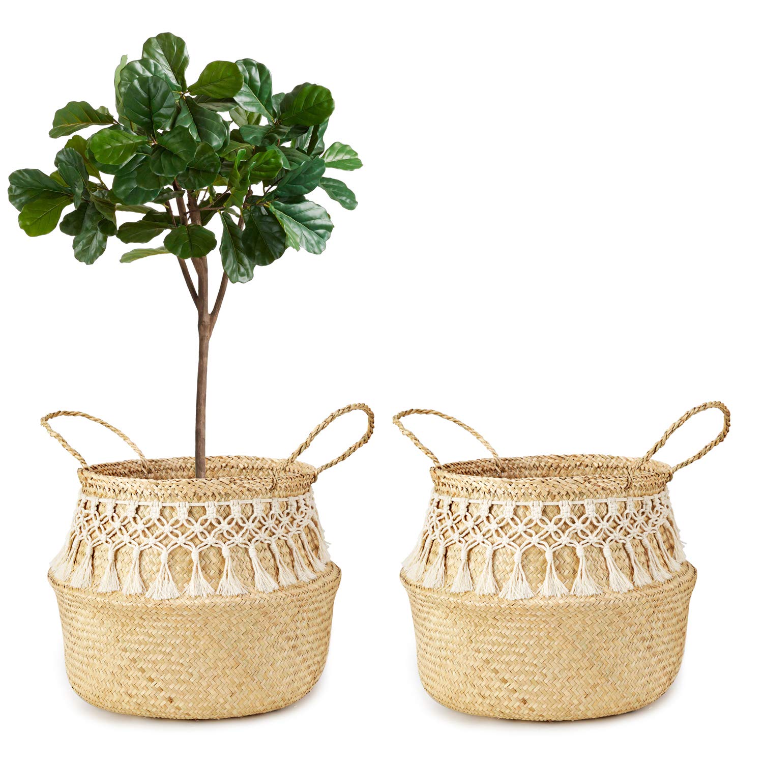 Soft Seagrass Plant Pot 08