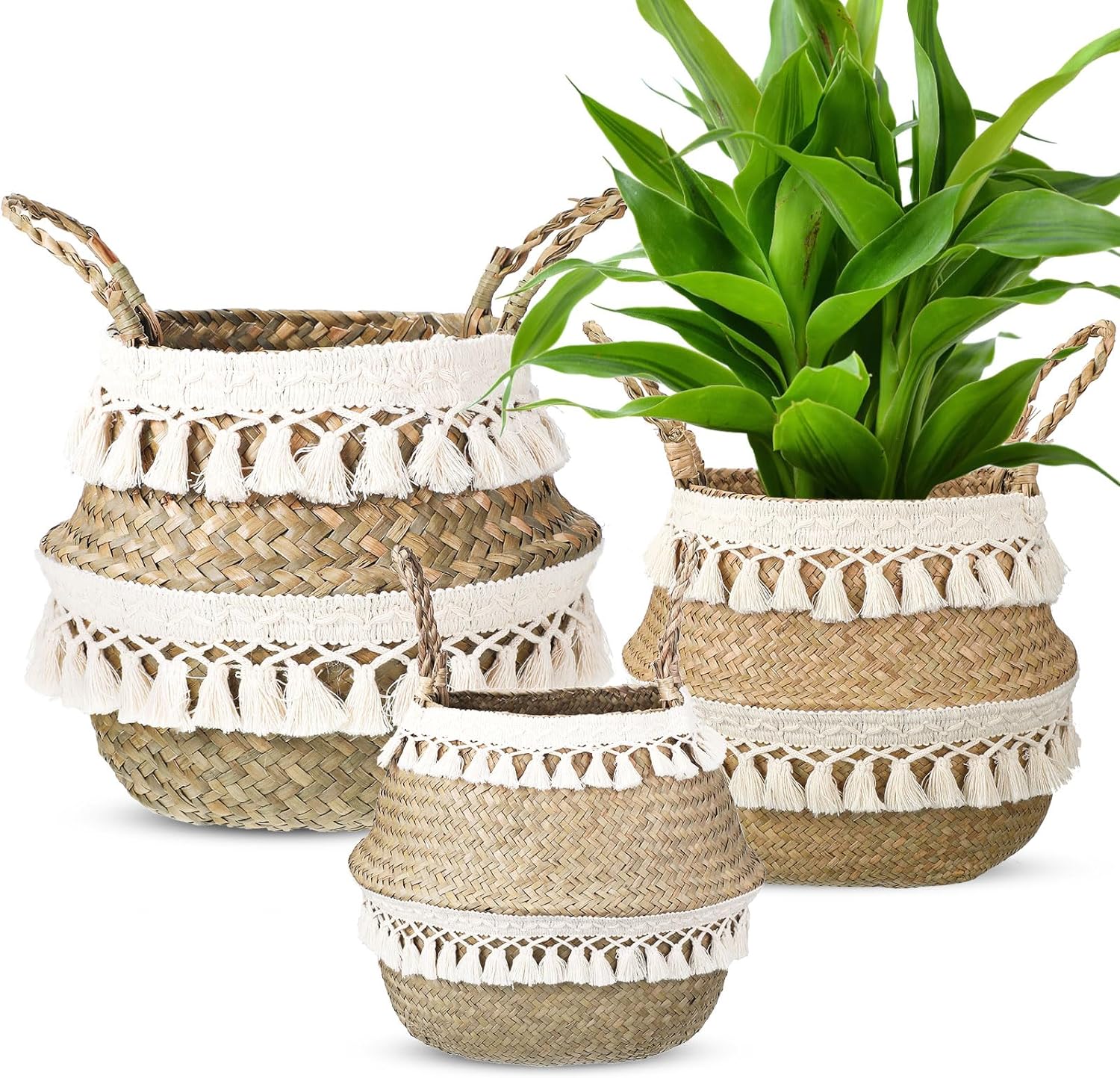 Soft Seagrass Plant Pot 07