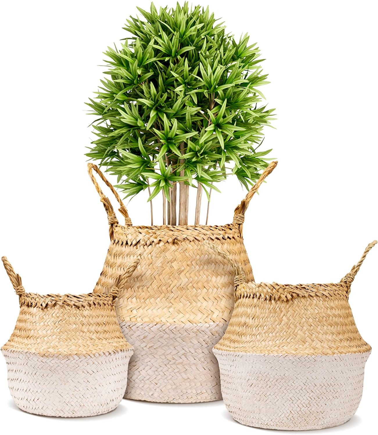 Soft Seagrass Plant Pot 03