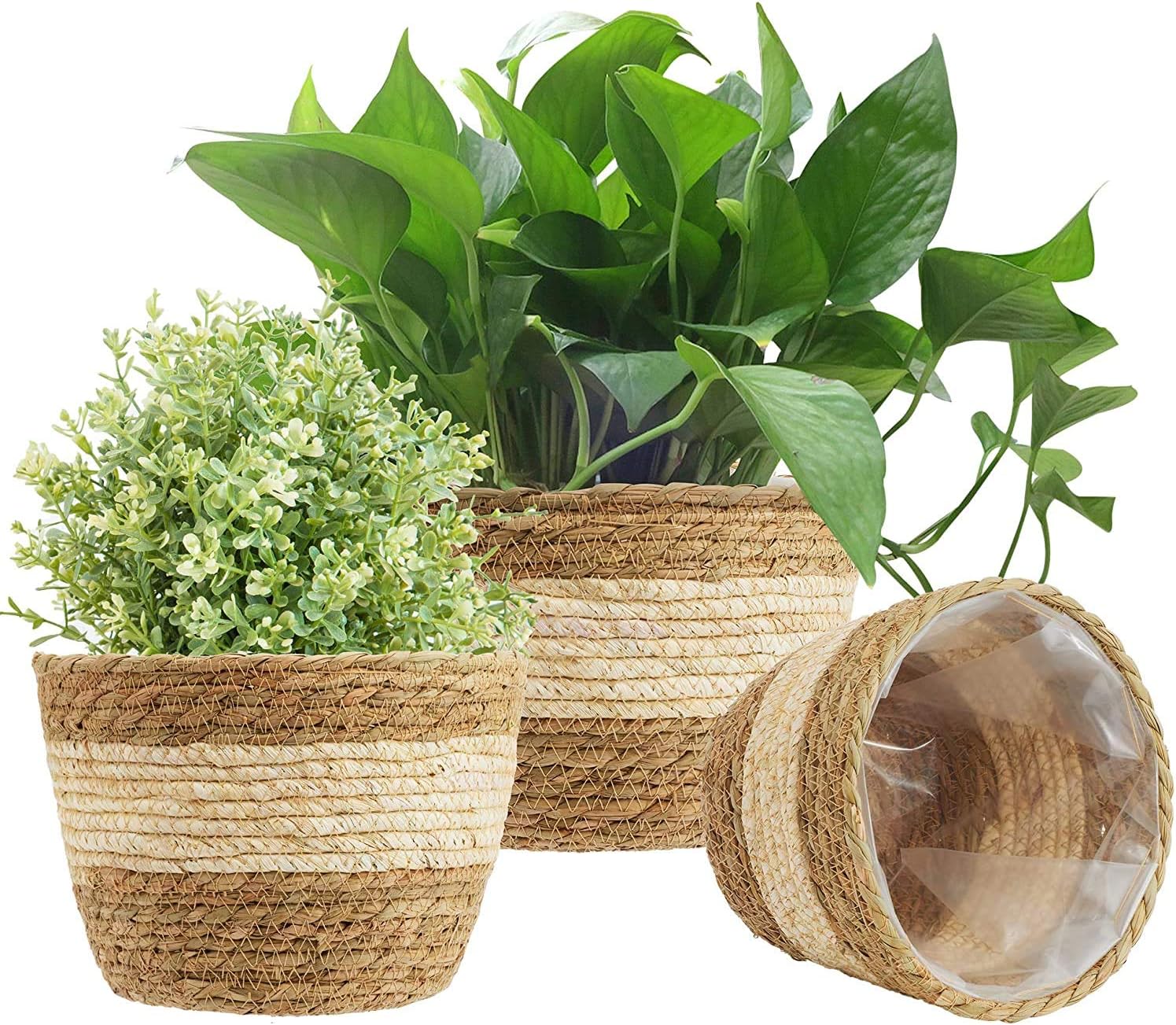 Strong Seagrass Plant Pot 01