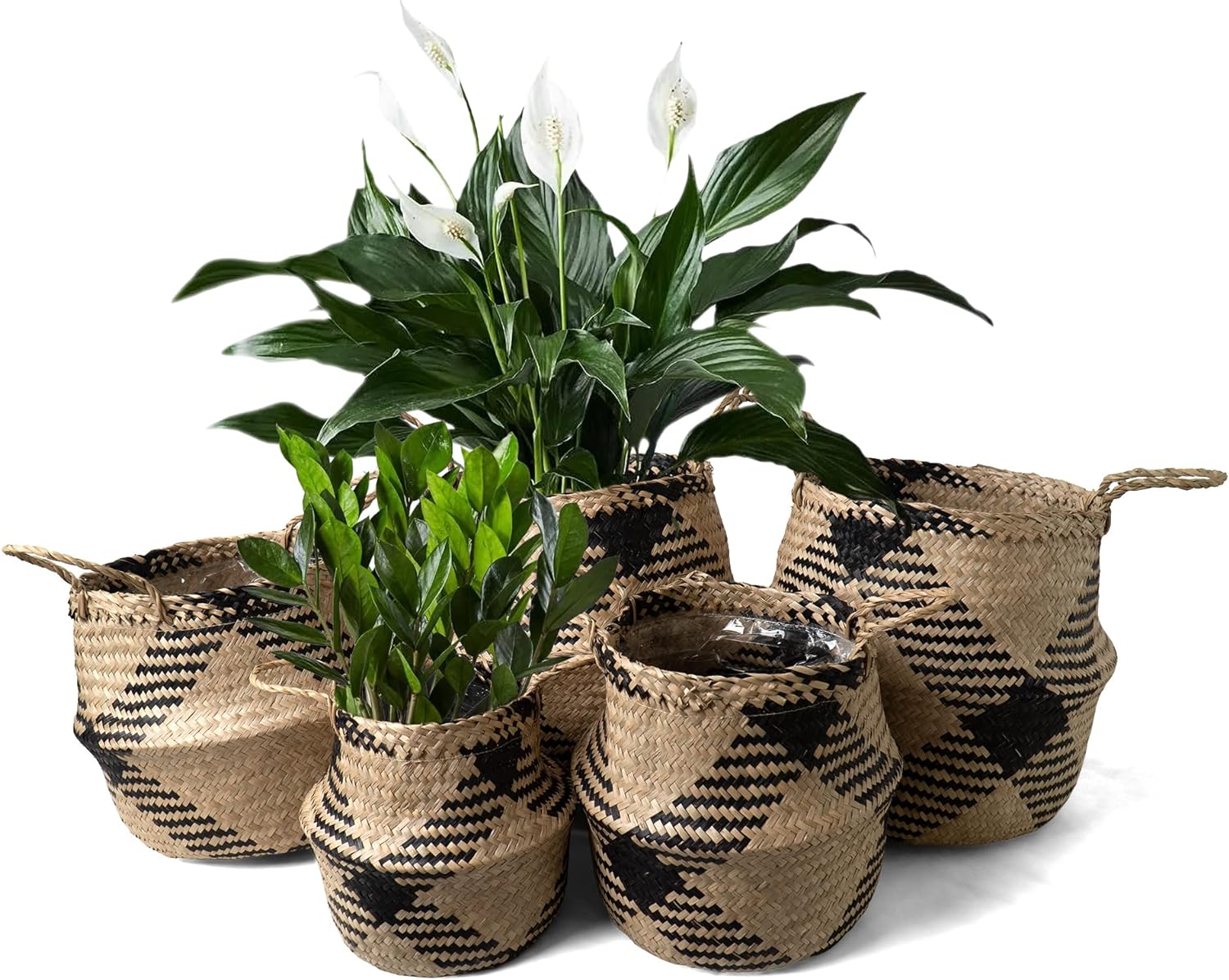 Soft Seagrass Plant Pot 10