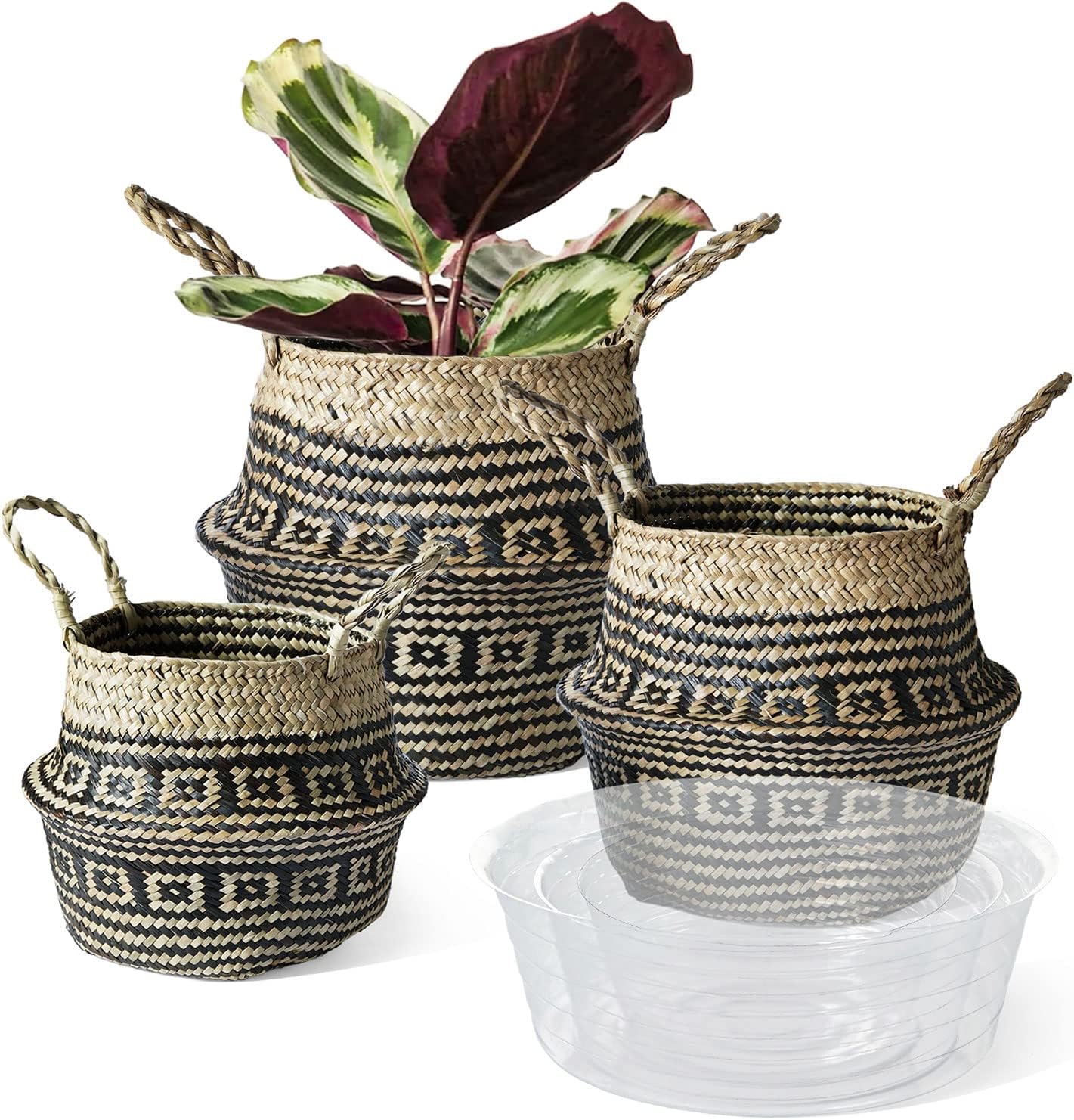 Soft Seagrass Plant Pot 06