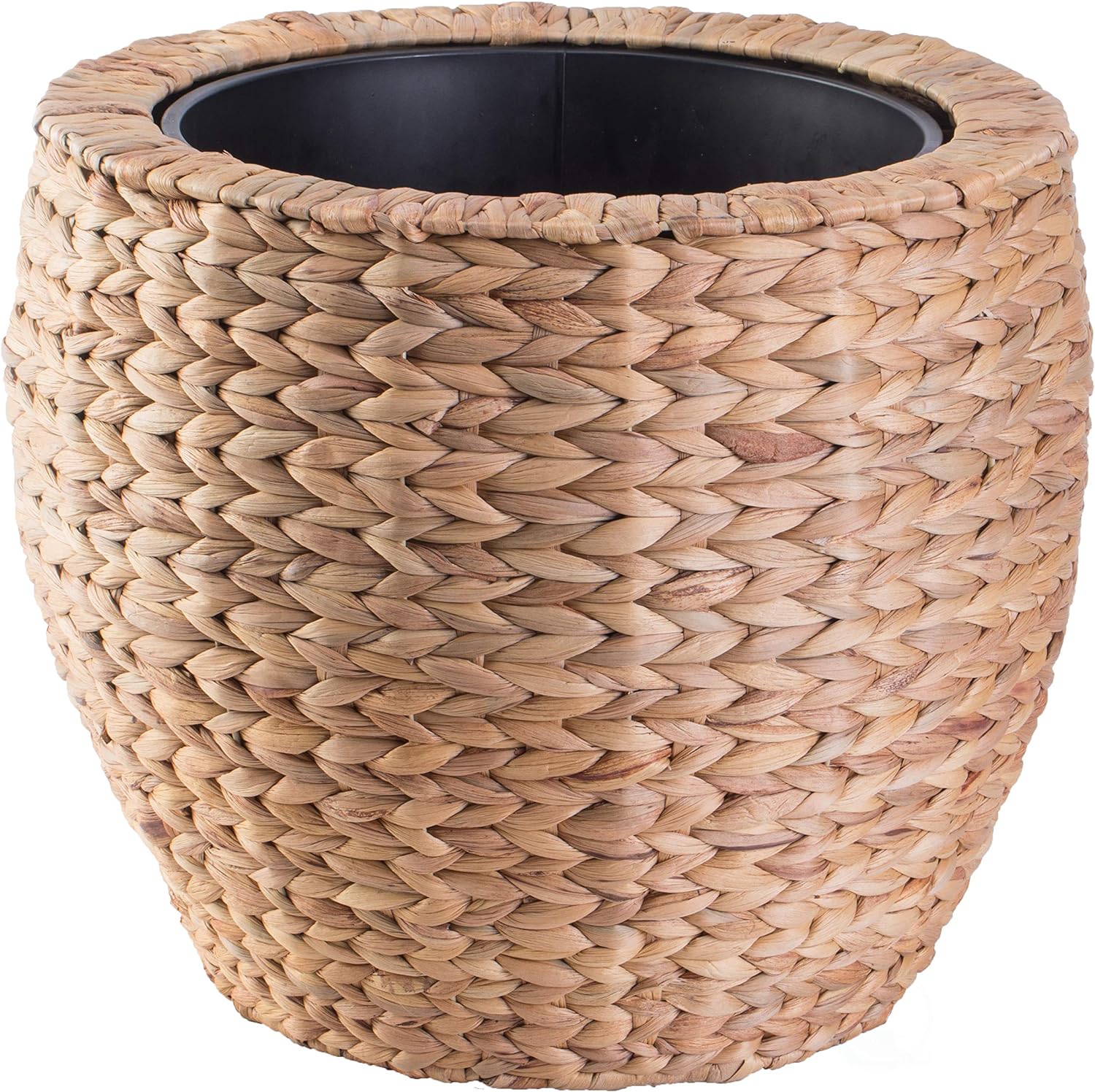 Water Hyacinth Plant Pot 02