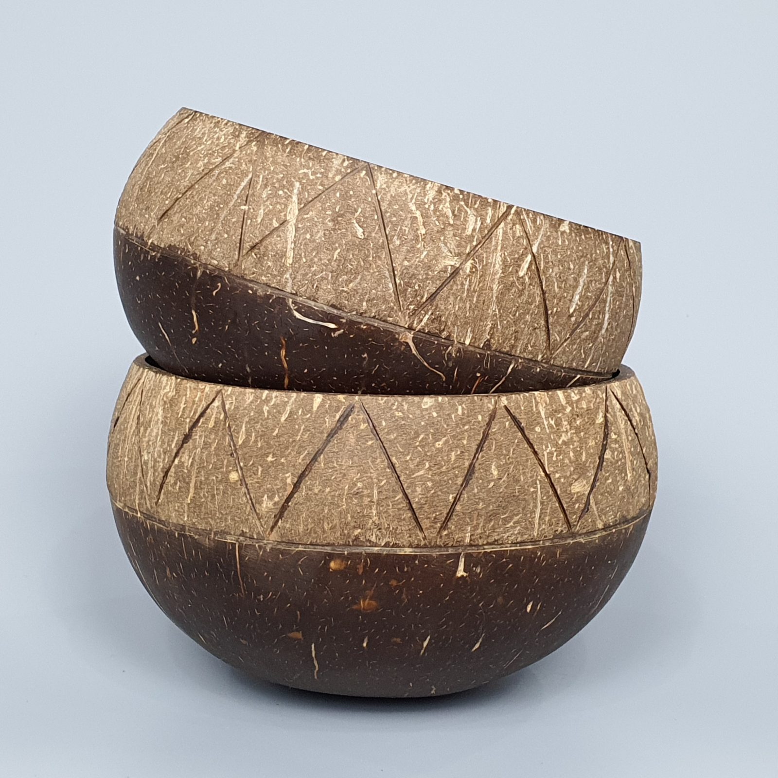 Coconut Shell 04