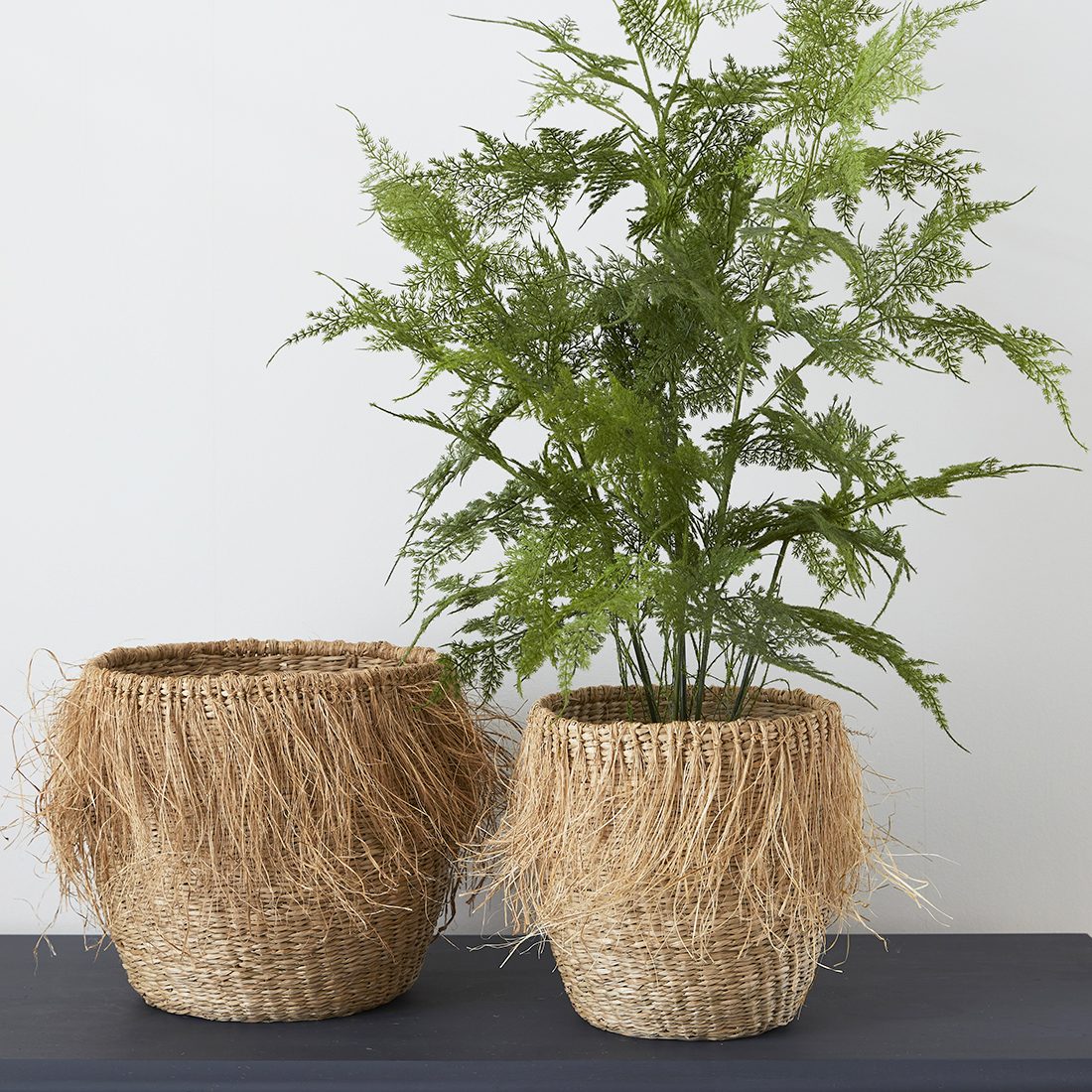 Strong Seagrass Plant Pot 09