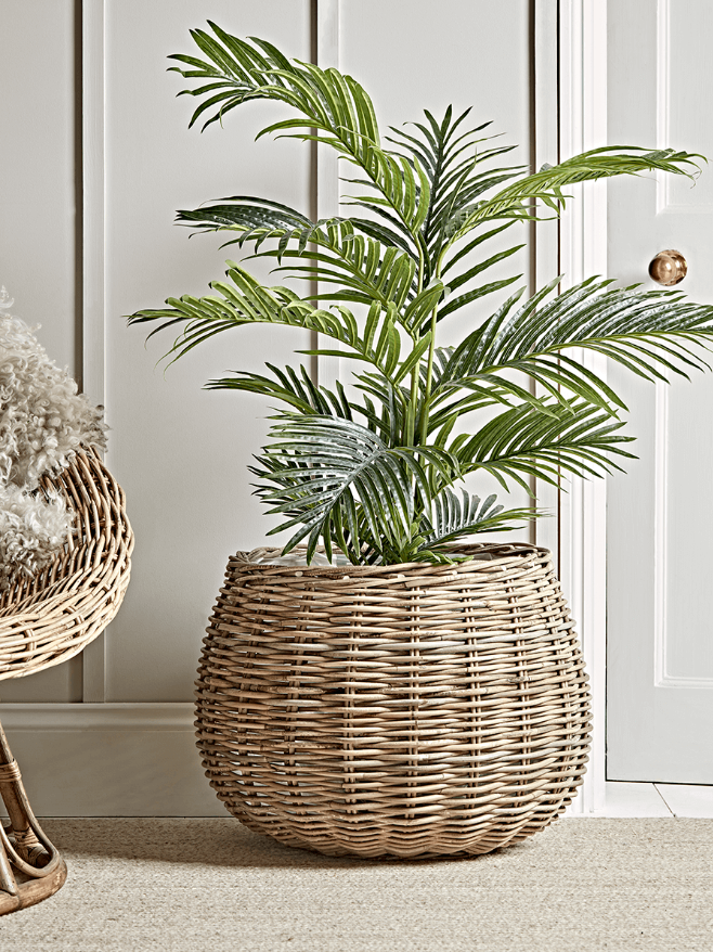 Rattan Plant Pot 06