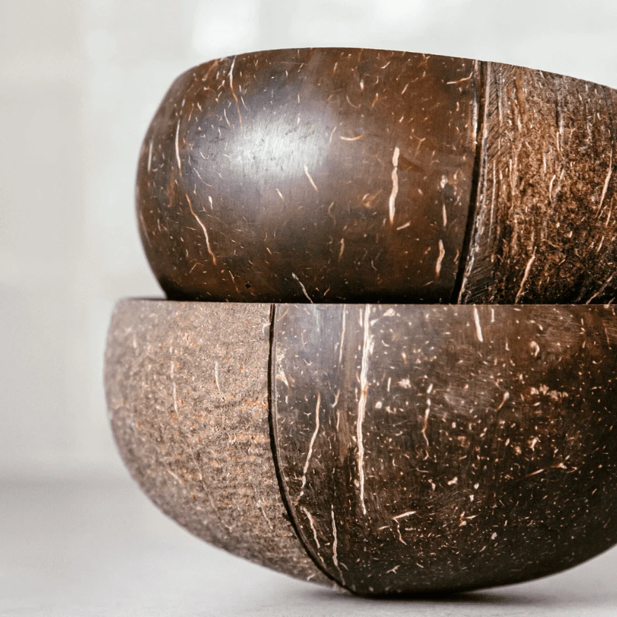 Coconut Shell 09