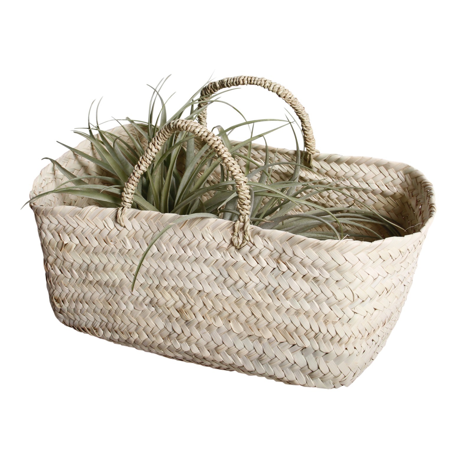 Palm Leaf Basket 11