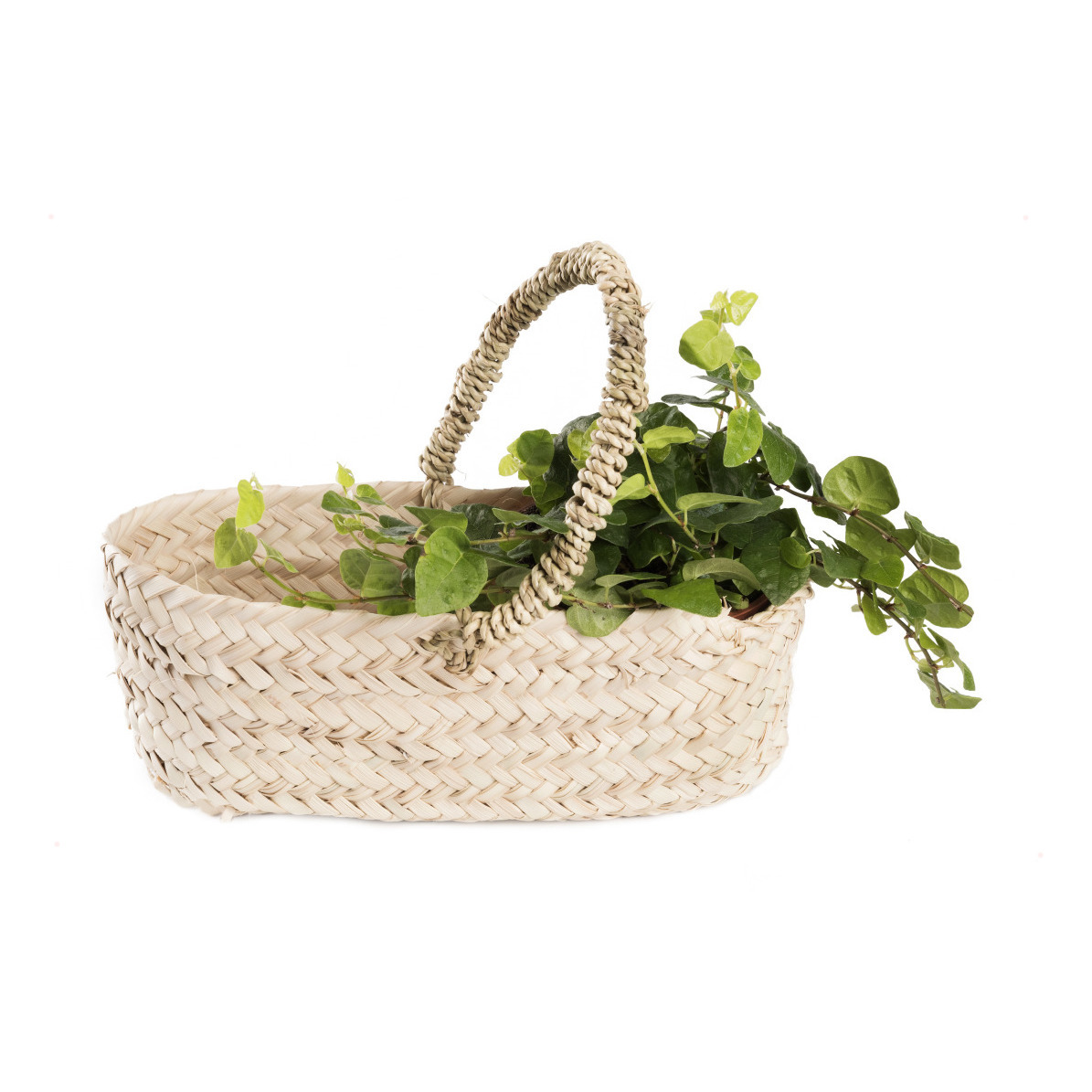 Palm Leaf Basket 12