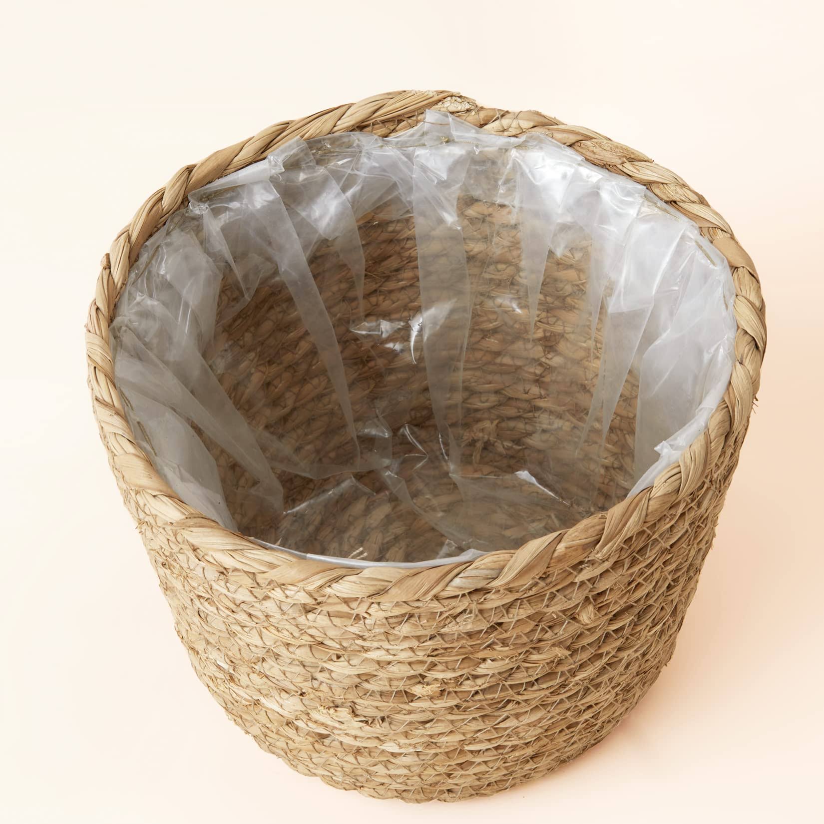 Strong Seagrass Plant Pot 02