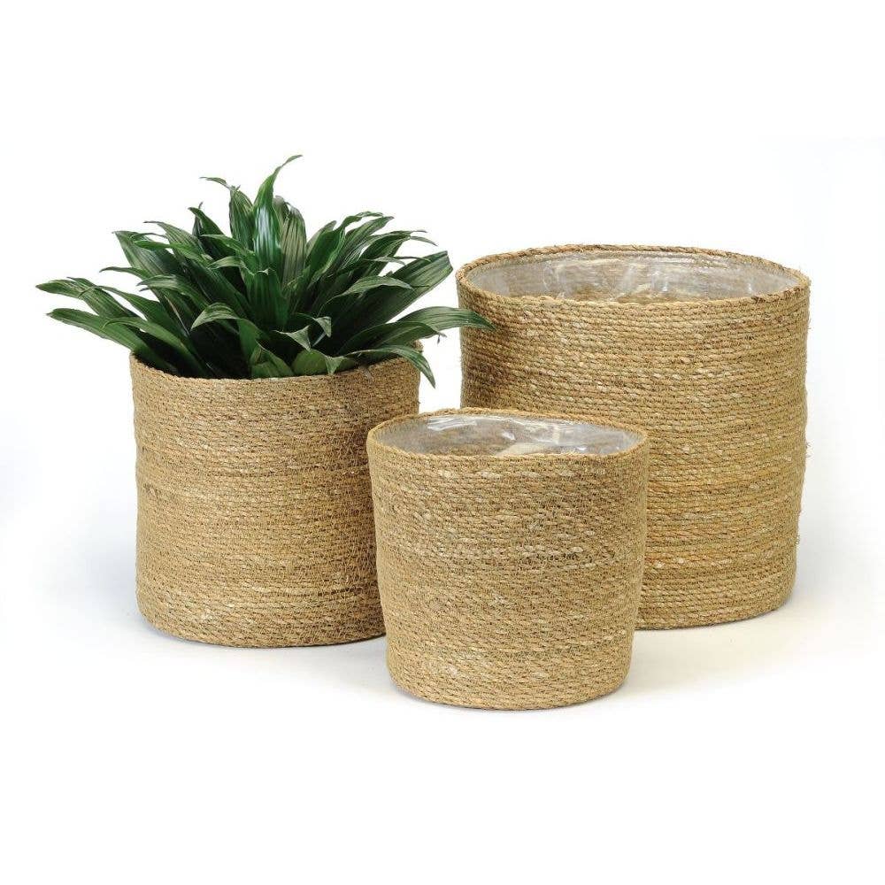 Strong Seagrass Plant Pot 05